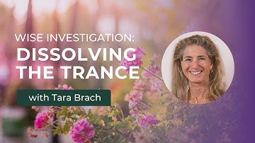 Wise Investigation: Dissolving the Trance with Tara Brach (Part 2)