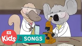 Science song by Teeny Tiny Stevies | ABC Kids