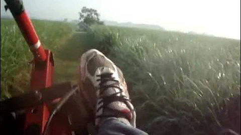 Trike Flying LESSON 8 - LOW FLYING - Ultralight FlyBy  Wash