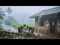 Nepali Mountain Village Life | very Peaceful And Relaxing Mountain Village Life | Live With Nature