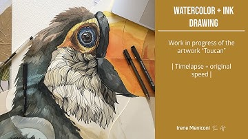 "Toucan" wip: watercolor + ink drawing | Timelapse |