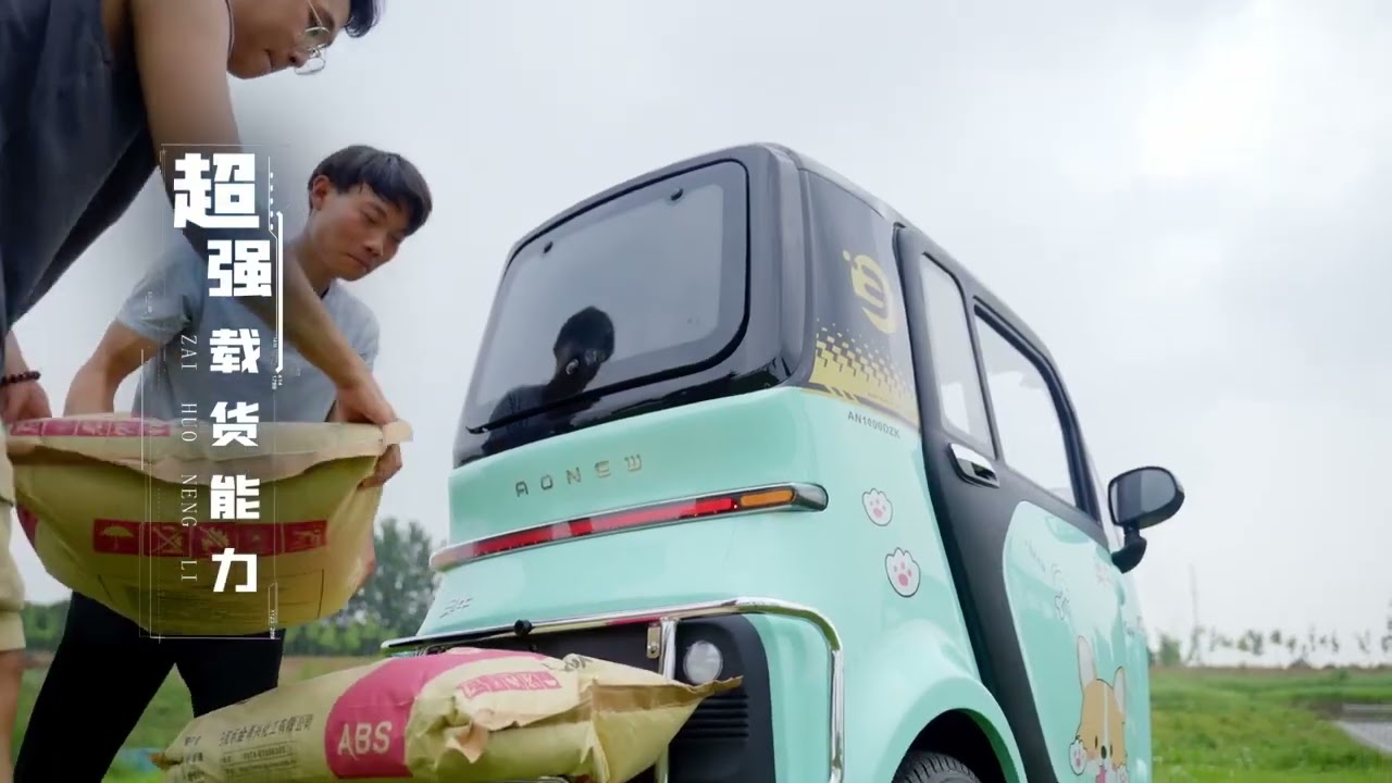 EV TUK TUK EVトゥクトゥク 側車付軽二輪 走行110km 最高時速55-58km/h