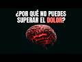 Por Qué Tu Cerebro Te Bloquea ante el Dolor y Cómo Reprogramarlo para Siempre