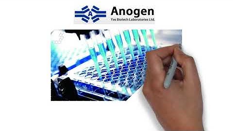 Anogen Multiplex Human Cytokine ELISA Kits