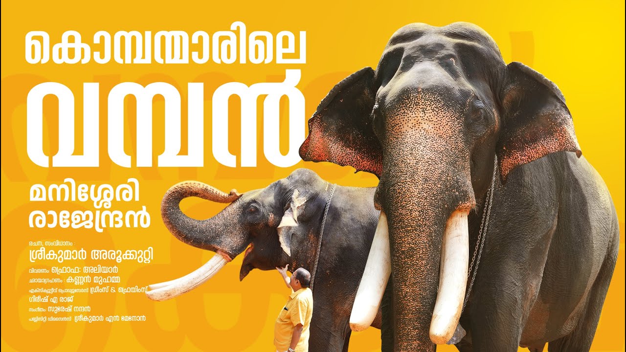 അമ്പമ്പോ... ഇവനോളം വമ്പൻ കൊമ്പുള്ള ഒരാന ഇന്ത്യാരാജ്യത്ത് വേറെയില്ല...!