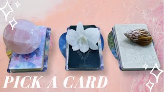 🔮🌺🐚Full Celtic Cross Love Read!🔮PICK A CARD (timeless)
