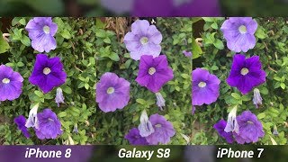 iPhone 8 Camera Test vs Galaxy S8 & iPhone 7!
