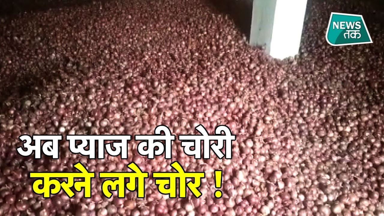 प्याज के दाम बढ़ते ही चोरों के निशाने पर प्याज ! NEWSTAK । EXCLUSIVE