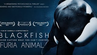 Blackfish Fúria animal - Documentário Dublado (2014)