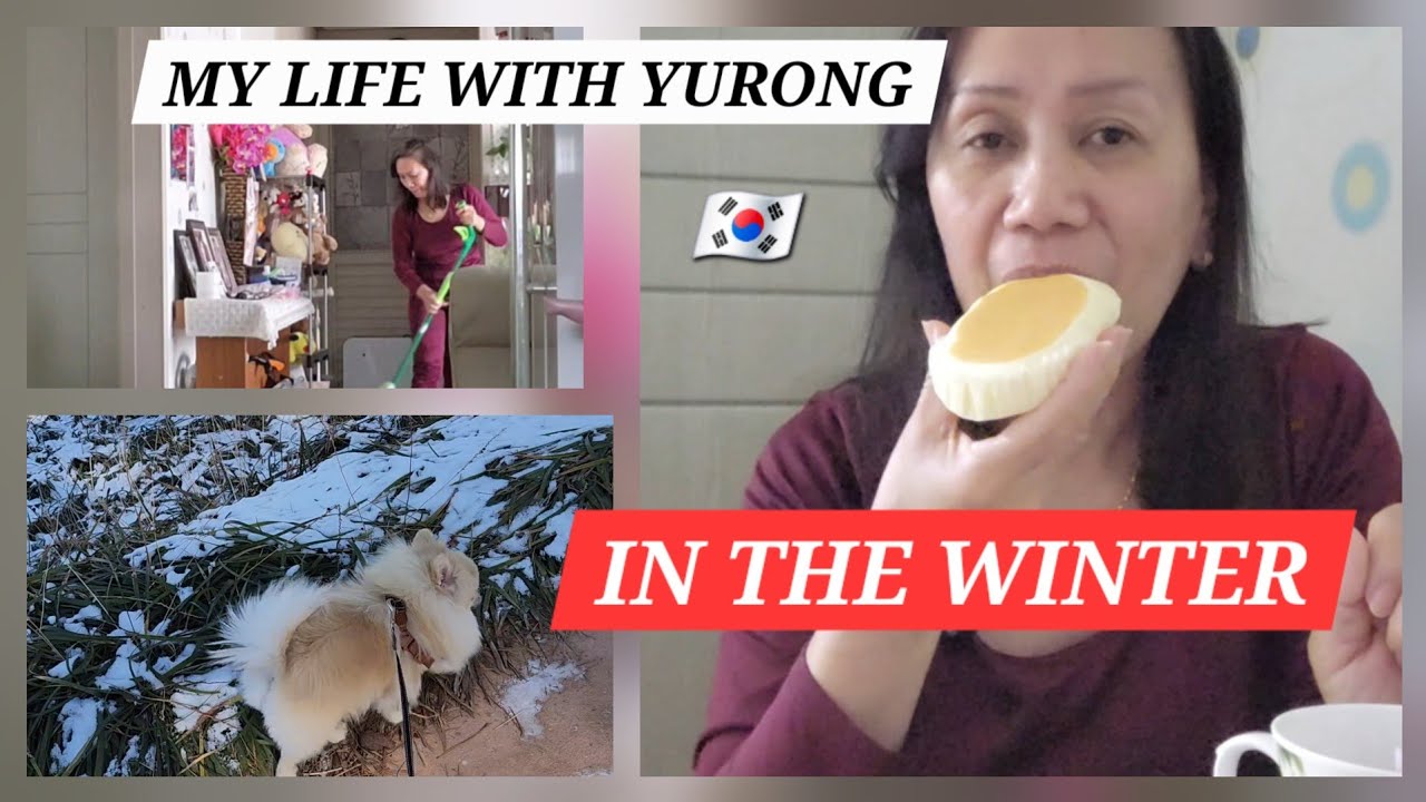 MY LIFE WITH YURONG IN THE WINTER BUSY DAY