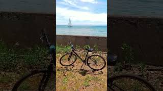Back on the Island Summer 2026