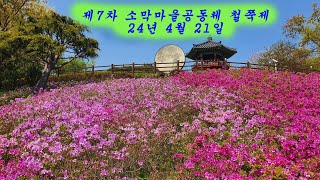 7차철쭉제 24. 4. 21.