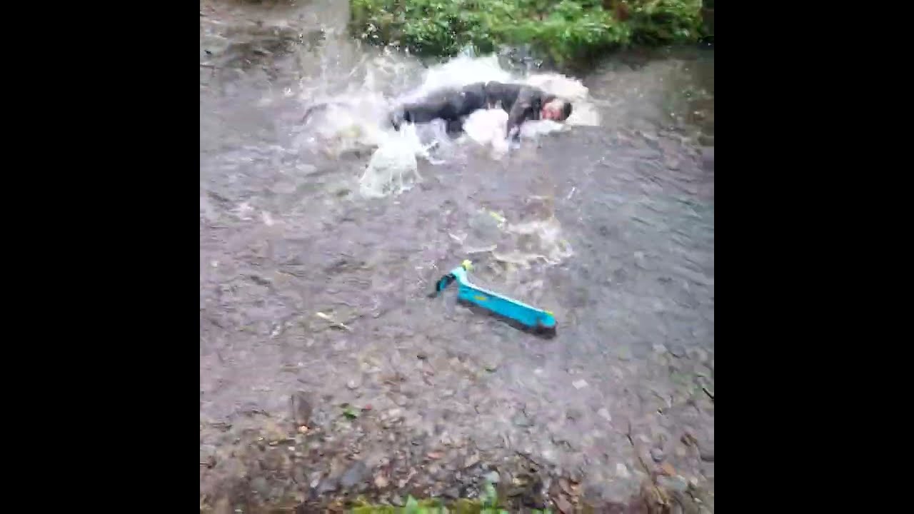  Oops That Wasn T Meant To Happen Funnyvideo River Accident Funnymoments Donttryathome