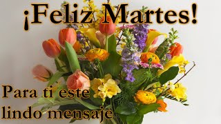 🍁Feliz Martes buenos día🍁bonito video de buenos días con imágenes bonitas, ábrelo feliz día para ti