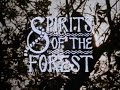 Spirits of the Forest (1987)