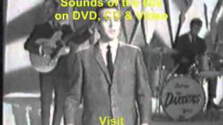 Video thumbnail of "Sounds of the 60's"