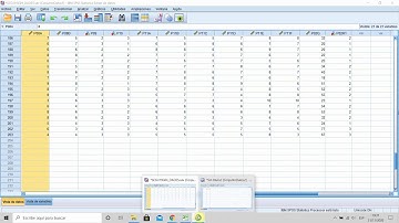 Análisis univariante EXCEL/ SPSS- Variables cuantitativas
