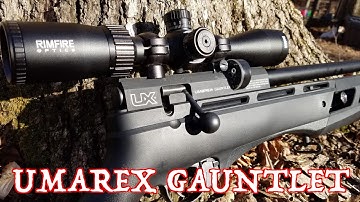 Umarex Gauntlet Air Rifle Review