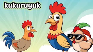 Kukuruyuk | Bebek Kwek Kwek Kwek | Lagu Anak Balita