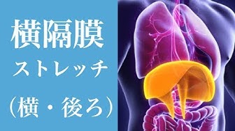 横隔膜ストレッチ Youtube
