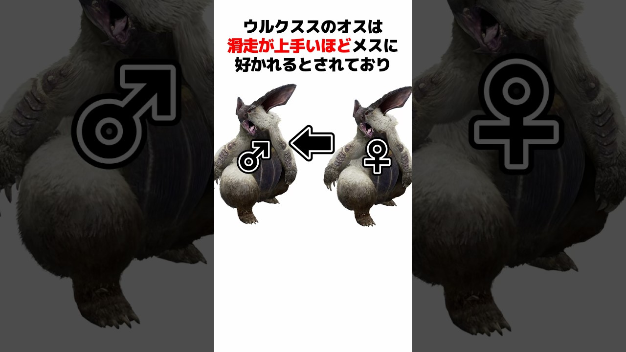 【モンハン】ウルクススの生態とトリビアを解説#shorts #モンハン解説 #mhp3 #mhrise