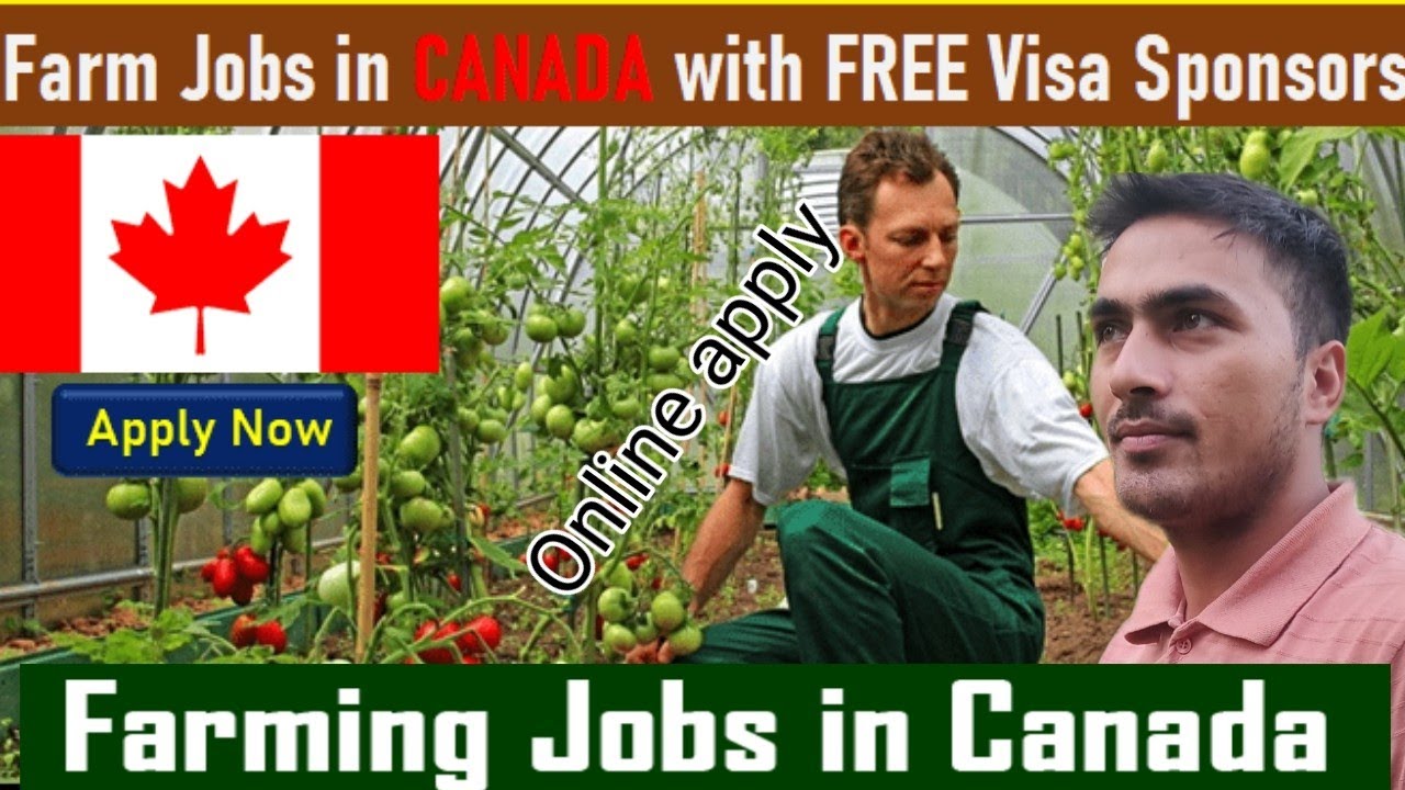 How To Apply Agriculture Job Canada From Nepal/ Canada Work Visa