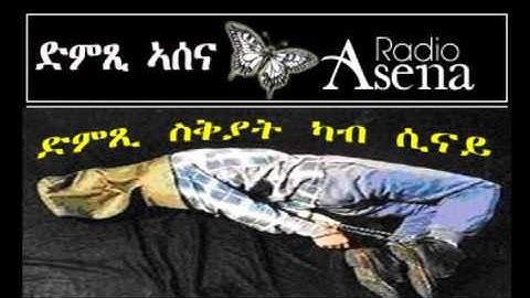 Voice of Assenna: Voice of Torture From Sinai