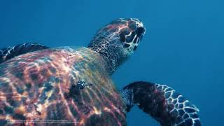 Samsung Memory Cards Samsung