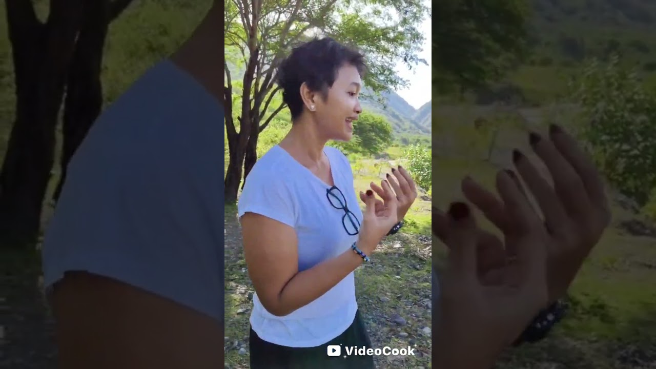 BUDDY ACe | INTIMATEVIEWS:  Tiur Armomihardjo - KSP | AKTIF - Akselerasi Kreatif - Kemenekraf