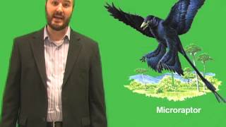 What were the unusual circumstances involved in the discovery of Microraptor?