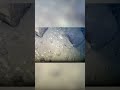 Historic livestream captures first-ever ROV journey to Lake Tahoe's depths