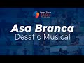 Asa Branca 🕊 Desafio Musical | Como Tocar Violino