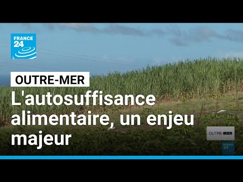 L'autosuffisance alimentaire, un enjeu majeur pour les Outre-mer • FRANCE 24