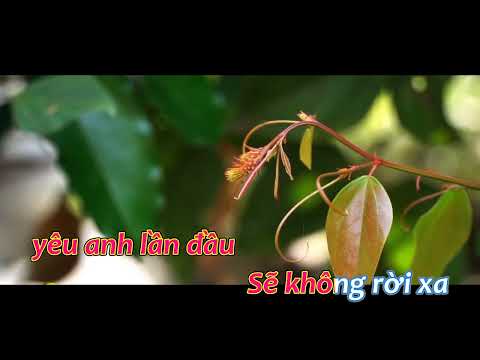 Video KARAOKE Trên Bờ Môi Dấu Yêu,Tác giả: Lê Xuân Trường... - youtube