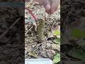 Learn Mini Saw Proper Use