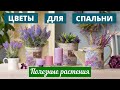 Топ 7 лучших цветов для спальни, которые улучшают сон