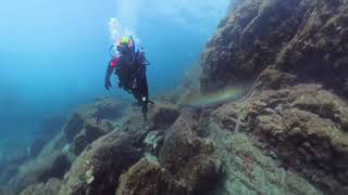 San Pedro Nolasco Island, a.k.a. Seal Island, Sea Lions 04-26-2025