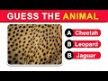 Guess The Animal Quiz: Guess the Animal by Its Skin Challenge!