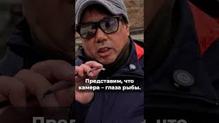 🔝 ЛАЙФХАКИ ЭКСПЕРТА NORIES | PELICAN MINNOW 🔝