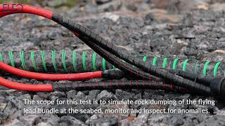 Flying lead bundle rock impact test