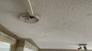 IMG 8178 14:15 5 SEP  10 AM START BANNING MY CEILING