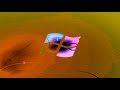 Windows 7 Startup Logon NOW MY VIDEO Effects Is Going Weirdness Every 