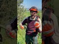 Come togliere i POLLONI dell'olivo correttamente