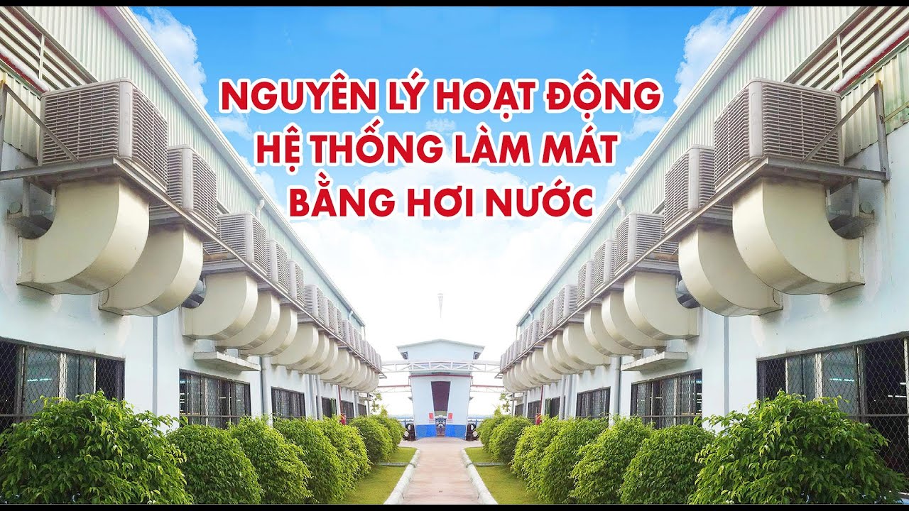 Hệ thống làm mát nhà xưởng bằng hơi nước hoạt động như... - youtube