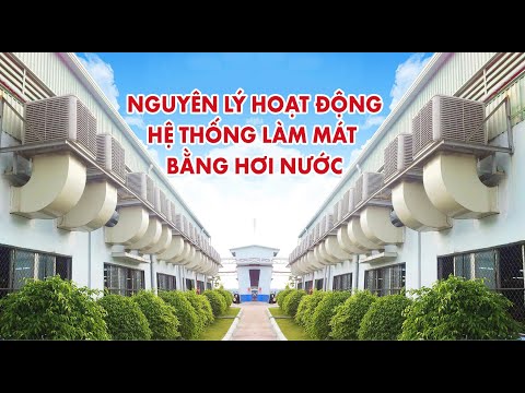 Video Hệ thống làm mát nhà xưởng bằng hơi nước hoạt động như... - youtube