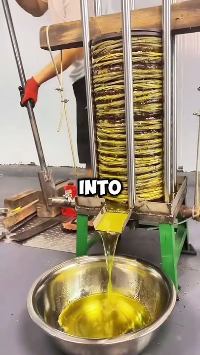 From Grove to Table! How Extra Virgin Olive Oil Is Made