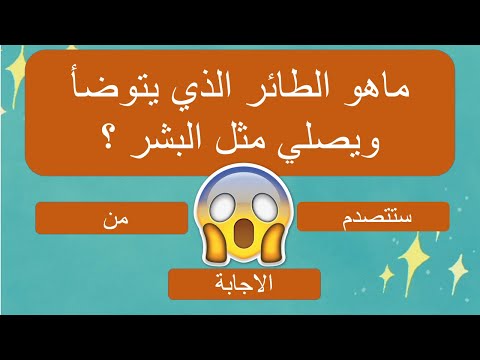 ماهو الطائر الذي يتوضأ ويصلي مثل البشر أسئلة دينية صعبة جدا وأجوبتها