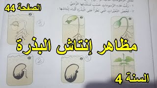 مظاهر إنتاش البذرة الصفحة 44 السنة 4 ابتدائي