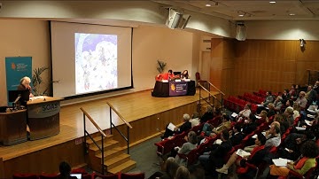 The Idea of Iran: The Turko-Timurid Intermezzo (Part 1) - Symposium at SOAS  London
