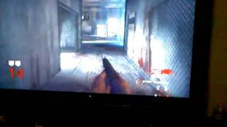 Level 14 Nazish Zombie Cod Map Pack 3